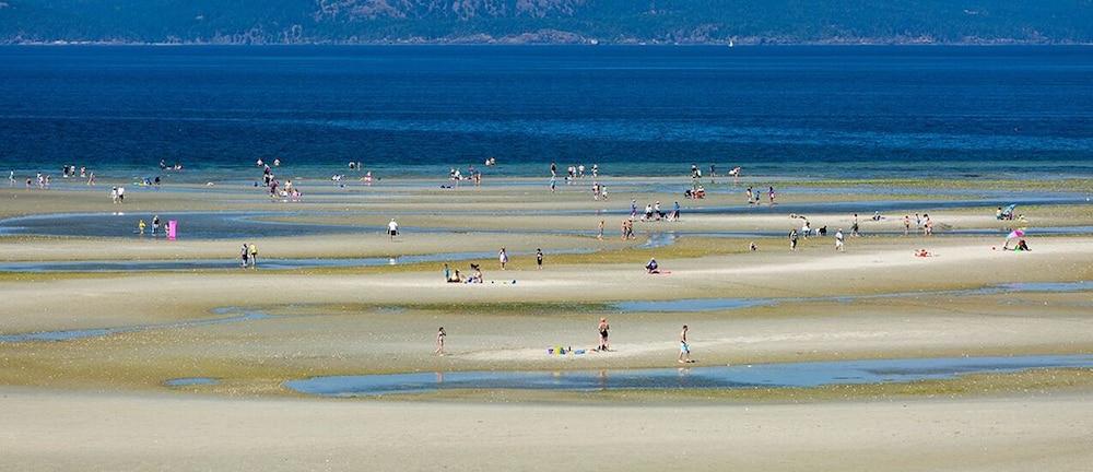 The Beach Club Resort — Bellstar Hotels & Resorts Parksville Zewnętrze zdjęcie